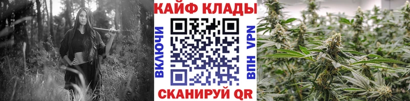 Купить наркотики Грайворон COCAIN  blacksprut зеркало  Каннабис  Меф  Alpha-PVP  Амфетамин 