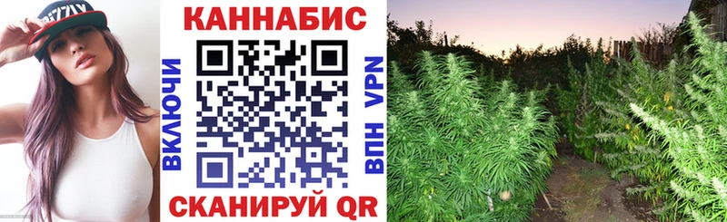 Бошки Шишки LSD WEED  как найти наркотики  Грайворон 